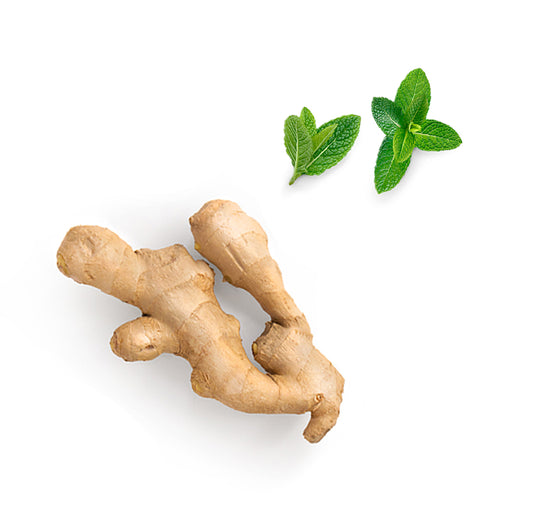 Doterra tamer összetevői