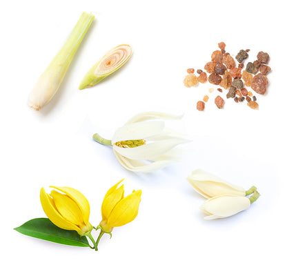 Doterra sun ásványi fényvédő krém arcra és testre  alapanyagai