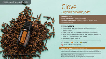 Doterra Szegfűszeg illóolaj - clove 15ml