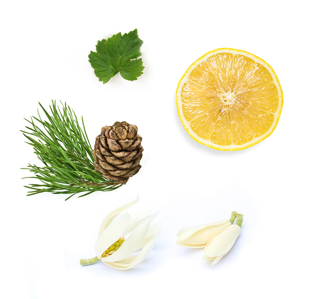 doterra shinrin-yoku illóolaj keverék 15ml mi van benne