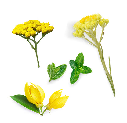 Doterra deep blue rub mi van benne