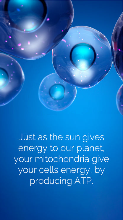 Doterra MetaPWR Mito2max zöldségkapszula